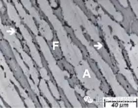 640.webp.jpg 640.webp.jpg